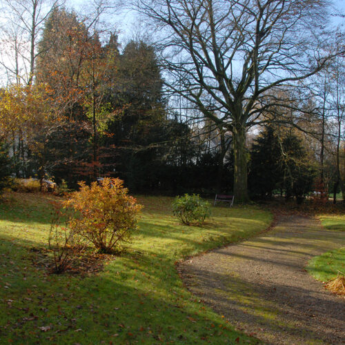 les_noisetiers_jardin_02