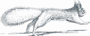 shutterstock_204900961_bleu