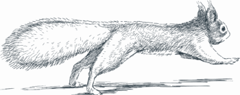 shutterstock_204900961_bleu