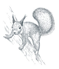 shutterstock_583376653_bleu